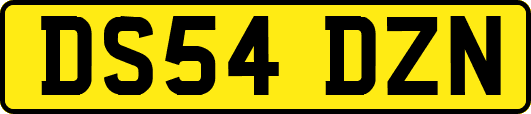DS54DZN