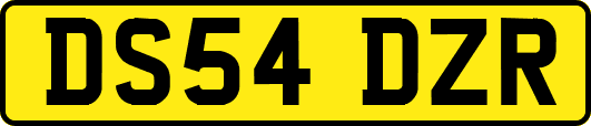 DS54DZR