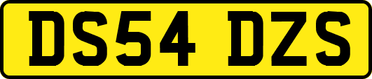DS54DZS