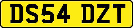 DS54DZT
