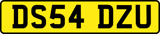 DS54DZU