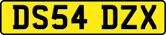 DS54DZX