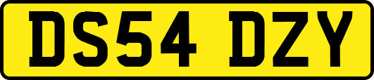 DS54DZY