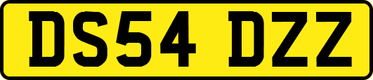 DS54DZZ