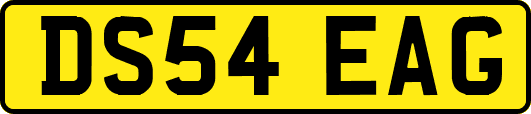 DS54EAG
