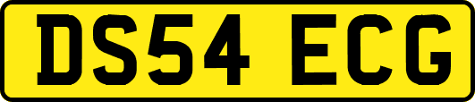 DS54ECG