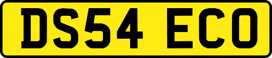DS54ECO