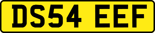 DS54EEF