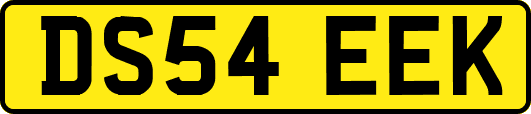 DS54EEK