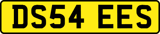 DS54EES