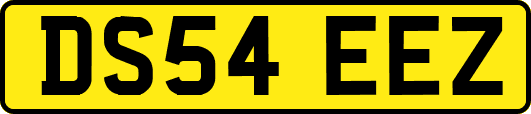 DS54EEZ