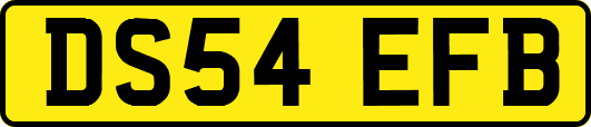 DS54EFB