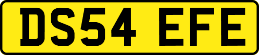 DS54EFE