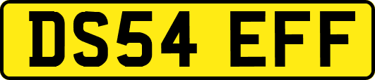 DS54EFF