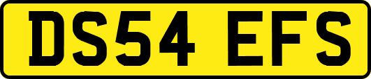 DS54EFS