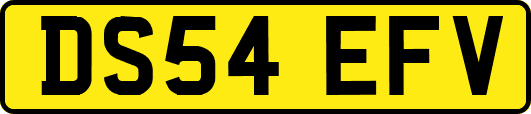 DS54EFV