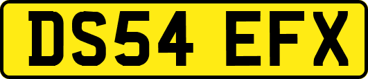 DS54EFX