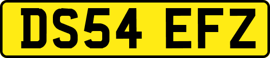 DS54EFZ