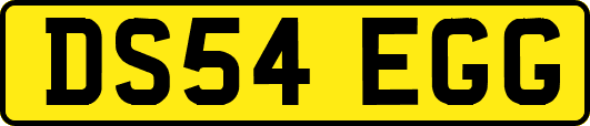 DS54EGG
