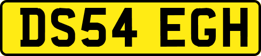 DS54EGH