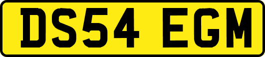 DS54EGM