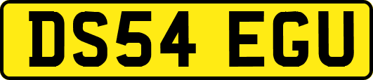 DS54EGU