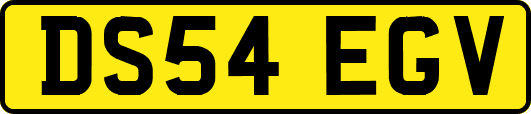 DS54EGV