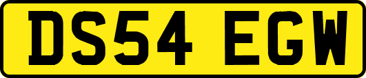 DS54EGW