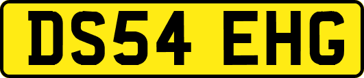 DS54EHG