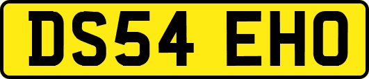 DS54EHO