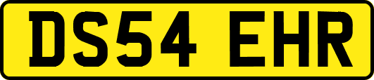 DS54EHR