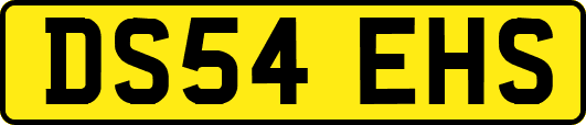 DS54EHS