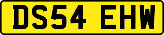DS54EHW