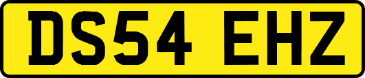 DS54EHZ