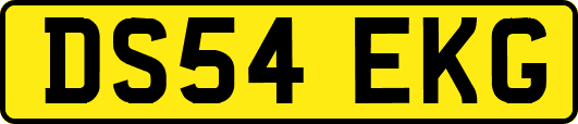 DS54EKG