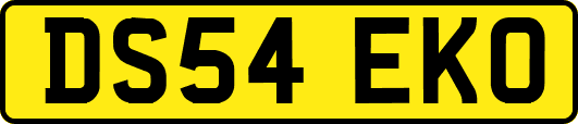 DS54EKO