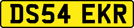 DS54EKR