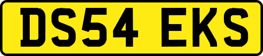 DS54EKS