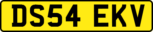 DS54EKV
