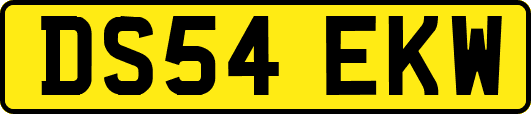 DS54EKW