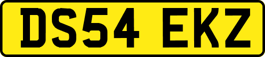DS54EKZ