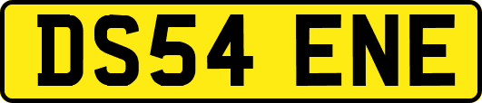 DS54ENE