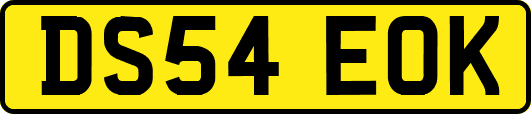 DS54EOK