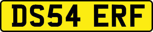 DS54ERF