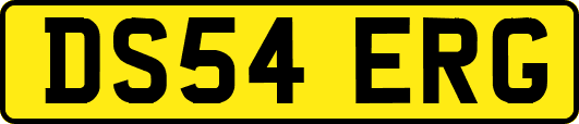 DS54ERG