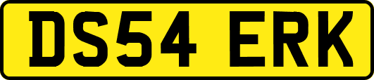 DS54ERK