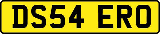 DS54ERO
