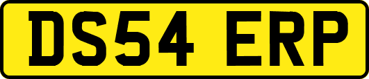 DS54ERP