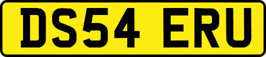 DS54ERU