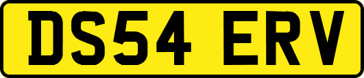 DS54ERV